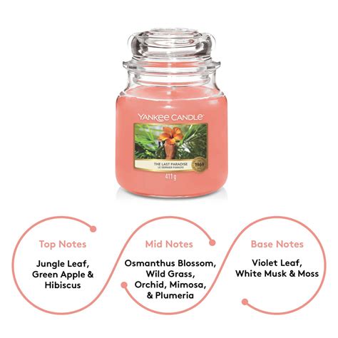 Yankee Candle Original The Last Paradise Medium Jar Scented Candle ...