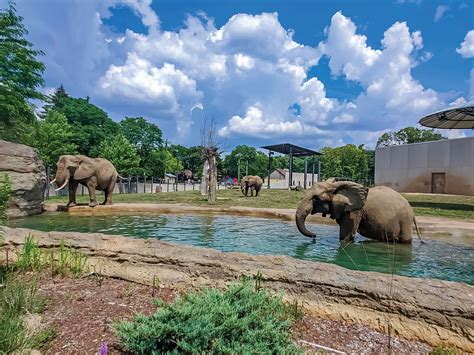 What’s New at Milwaukee County Zoo | Milwaukee Magazine