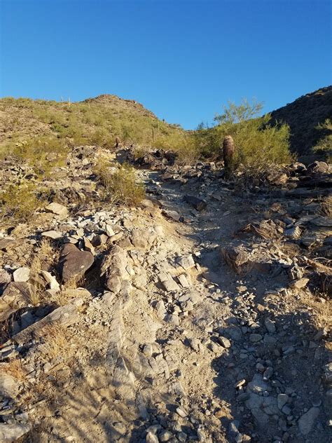 Corona de Loma Trail - Arizona | AllTrails