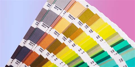 Image result for CSS How to Color a Div