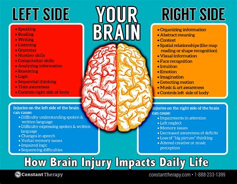 Image result for Contralateral Brain Injury