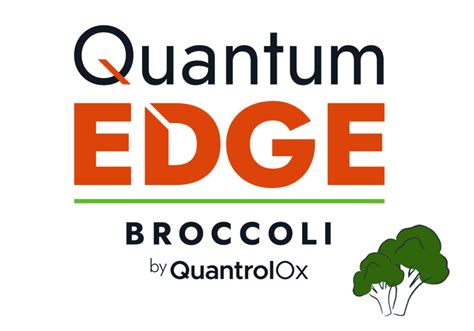 Quantum Edge 的图像结果