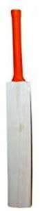 VK CITY FITNESS Sports Plain Kashmir Popular Willow Cricket Bat (800 ...