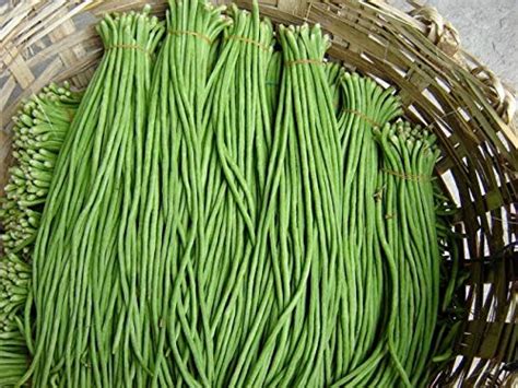 Creative Farmer Vegetable Seeds Cow Pea Seeds - Cowpea (Anaswara) Seeds ...