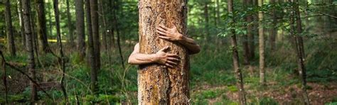 Image result for Chipko Movement Introduction