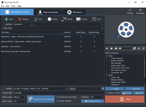 Video File Conversion Tutorial 的图像结果