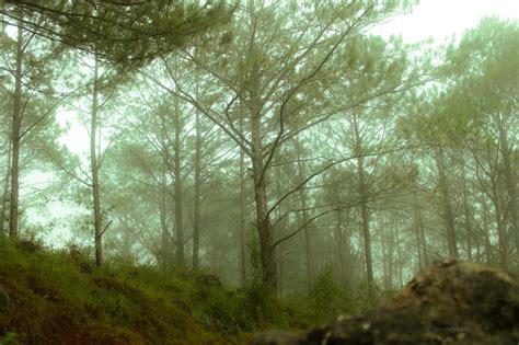 Sagada, Mt. Province : r/PhilippinesPics