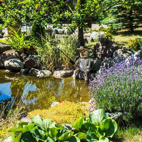 Pond Design Ideas 的图像结果