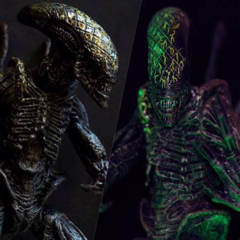 Image result for Alien Battle Macfaren