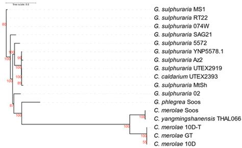 Identification of Incomplete Annotations of Biosynthesis Pathways in ...