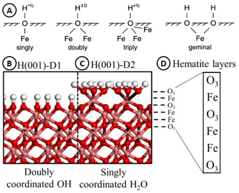 Bulk and Surface Characterization of Distinct Hematite Morphology ...