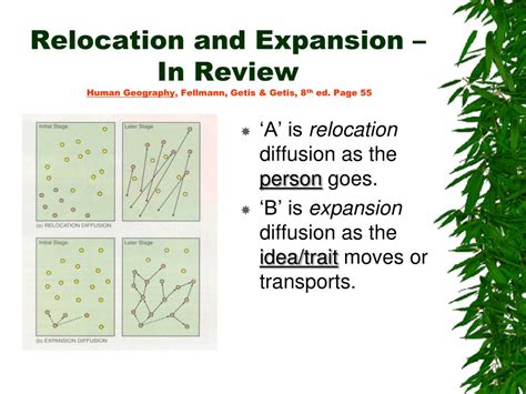 Relocation Diffusion 的图像结果