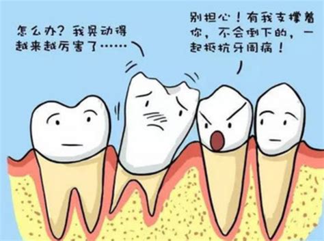 牙齿松动后拔除还是固定-爱康健齿科