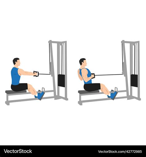 Image result for Machine Row Exercise