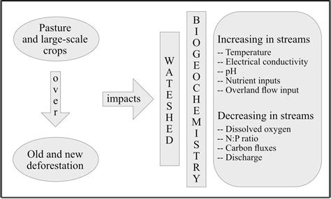 Agricultural Impacts on Hydrobiogeochemical Cycling in the Amazon: Is ...