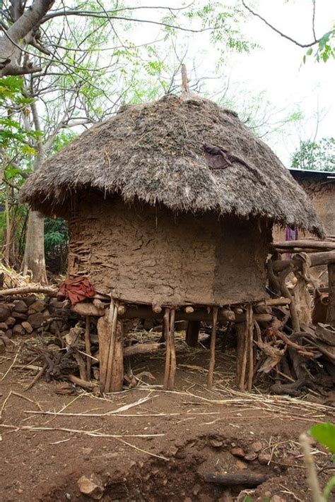 Primitive HOUSE Build 的图像结果