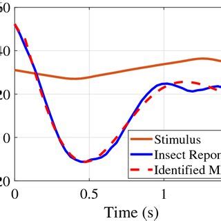 Image result for System Identification Time Domain