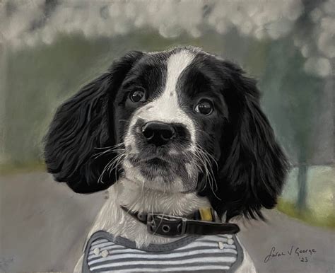 Pet Artist & Portrait Artist, South Wales UK - People and Pet Portraits