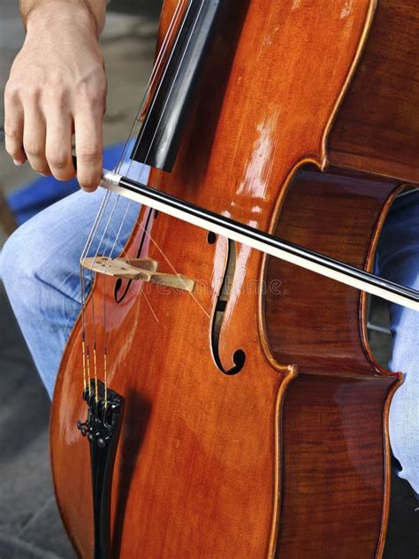 String Instrument 的图像结果