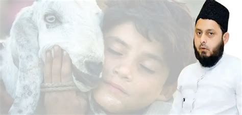 Eid-ul-Adah: Maulana Firangi Mahali issues 11-point charter for animal ...