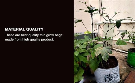 BIO BLOOMS AGRO INDIA PRIVATE LIMITED HDPE Rectangular Grow Bags ...