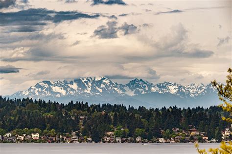 The Flora Surrounding Juanita Bay Park — Jennifer Carr