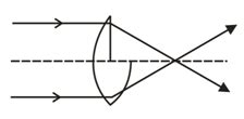 Choose the correct ray diagram of a thin equi-convex lens which is cut ...