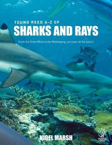A-z of Sharks and Rays: From the Great White to the Wobbegong, We Cover ...