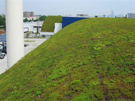 Testa Produce - Greenroofs.com