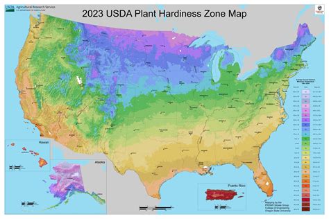 The USDA Reveals New Map of Plant Hardiness Zones for 2024