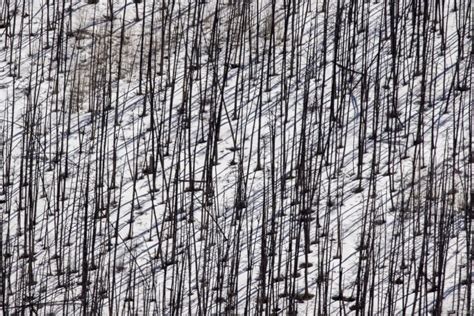 Image result for Loop Road Length