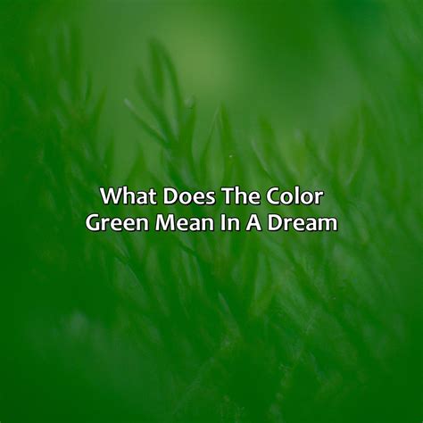 What Does The Color Dark Green Mean - colorscombo.com