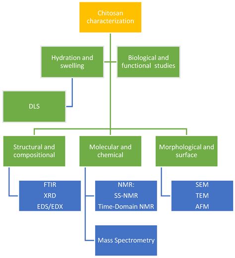 Chitosan as a Plurivalent Biopolymer in Nanodelivery Systems