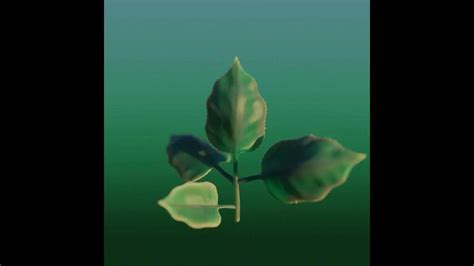 Image result for Blender Hair Subsurface Scattering