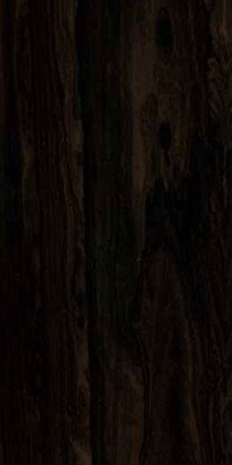 SONEAR :: The New Discovery