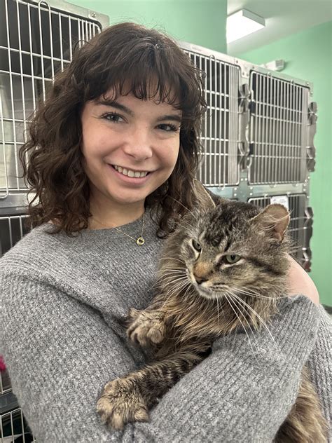 Madison Oglethorpe Animal Shelter gets creative with business ...