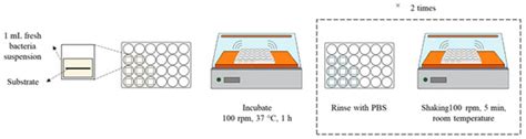 Quantification Methods for Textile-Adhered Bacteria: Extraction ...