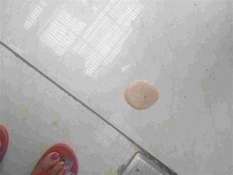 My dog is vomiting both white foam and yellow fluid. He is feeling lazy ...