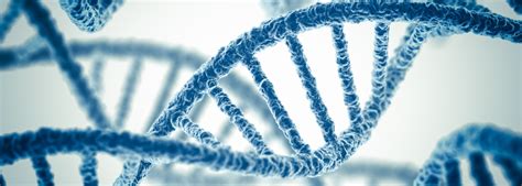 Image result for Molecular Bioengineering