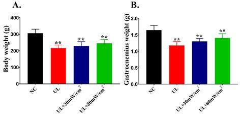Molecular and Metabolic Mechanism of Low-Intensity Pulsed Ultrasound ...