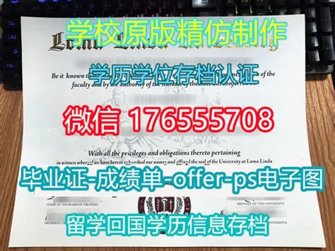 新南威尔士大学diploma（国际大一文凭课程）有哪些变化？新增了哪些方向？详解来啦！ - 知乎