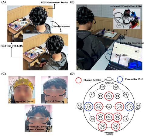 Hybrid BCI for Meal-Assist Robot Using Dry-Type EEG and Pupillary Light ...