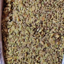 Best Top Rated Farmers' market in Pandharpur, Maharashtra, India | Yappe.in