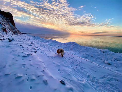 Sterling Nature Center – Sterling, NY | Adventures in New York