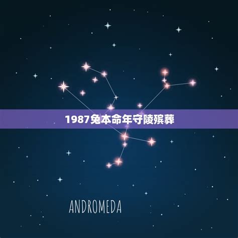 1987兔本命年守陵殡葬(相关习俗和注意事项) - 星辰运势