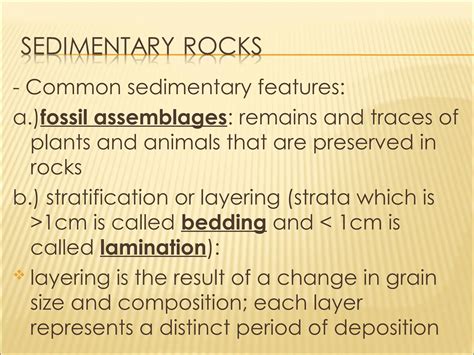 Three Types of Rocks with Examples 的图像结果