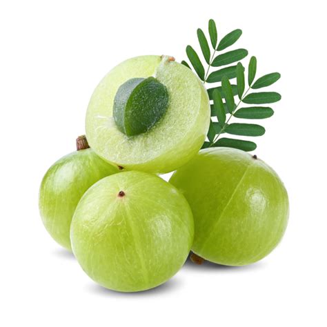 Buy Fresh Nellikai Vegetables Online in Chennai FamilyGarden