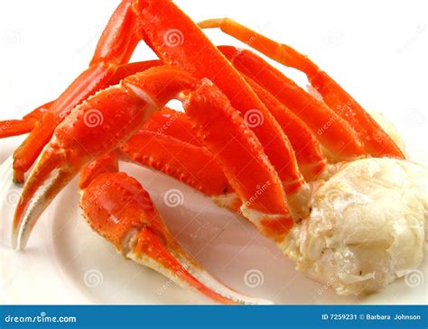 Snow Crab Cluster stock image. Image of alaskan, protein - 7259231