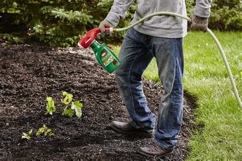 5 Best Poison Ivy Killers Reviewed (Winter 2026) - Get Rid of Poison ...