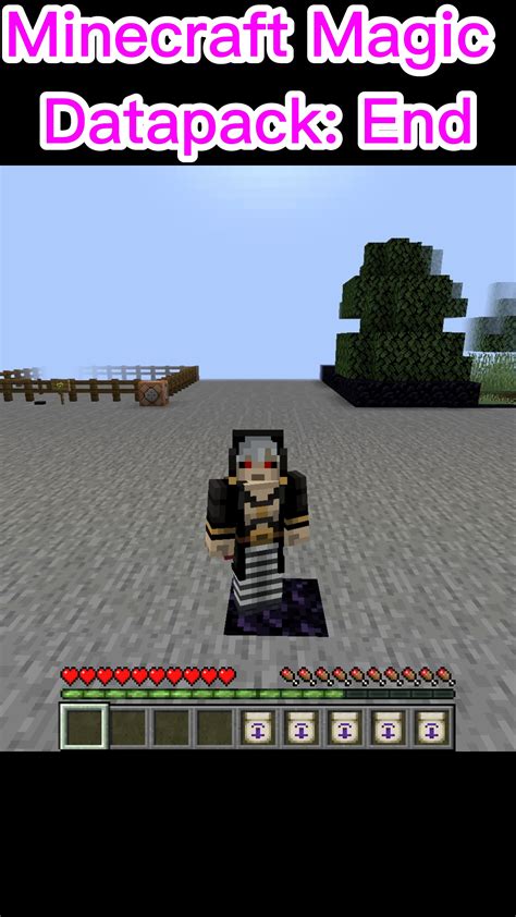 Image result for Minecraft End Magic Mod
